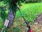 A lawn mower stands near a tree. a grass mowing machine with a red handle and a black base stands beside an apple tree, waiting