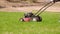 Lawn mowing. The gardener mows green grass. Cultivation. Garden care. Big field. Side view. Summer gardening.