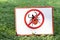 Lawn is protected from insects. Insecticides. Insect control