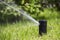 Lawn Sprinkler in Action. Garden Sprinkler Watering Grass. Automatic Sprinklers.