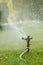 Lawn sprinkler spaying water over green grass. Irrigation system. Automatic watering lawns. Gardening. vertical photo