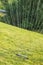 A lawn sprinkler sprays water on the green grass growing on the hillside. Modern irrigation system on a sunny summer day