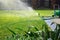 Lawn sprinkler watering green grass