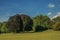 Lawn, trees, blue sky and the top of the Leopold I monument, at Laeken Park in Brussels.