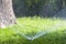 Lawn water sprinkler spraying water over grass in garden on a hot summer day. Automatic watering lawns. Gardening and environment