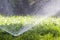 Lawn water sprinkler spraying water over grass in garden on a hot summer day. Automatic watering lawns. Gardening and environment