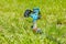 The lawn watering device is installed on the ground among the grass