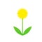 Lawn weed icon