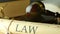Lawyer attorney barrister law settlement in court magistrate judge gavel