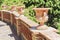 Ð¡lay stands flower pots in a beautiful public garden park Parco Colonna, Taormina, Sicily, Italy - Image