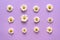 Layer of chamomiles symmetrically on a light purple background