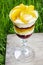 Layer fruit dessert with whipped cream topping