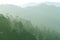 Layer of green forest and mountain range in the mist. View from