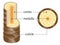 Layer of hair structure. The hair shaft consists of cortex,cuticle, and medulla. Hair care and beauty concept