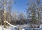 A layer of snow on the branches of bare trees against the blue sky