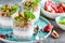 Layered chia pudding parfait with kiwi fruit, pomegranate, granola and yogurt