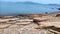 The layered coral rocks are neat and beautiful and decorate the beauty of the beach and the sea is really cool to the eye.