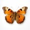 Layered Imagery: An Orange And Brown Butterfly On A White Background