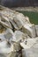 Layered stones on the shore of a forest lake in the state of Tennessee