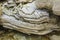 Layered stones on the shore of a forest lake in the state of Tennessee