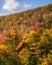 Layers of colorful trees close to peak fall foliage. Catskill Mountains, NY