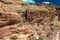 Layers in the rocks of the Calico Hills, Red Rock Canyon National Conservation Area, Nevada, USA