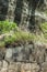 Layers of rocks in a small mountain canyon background