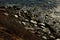 The layers of the shoreline as seen from above from water to the rocks on the beach and finally to the dry brush on the hills.