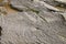 Layers of slate form an other worldly shape at Kilve beach, near East Quantoxhead, Somerset, England