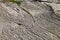 Layers of slate form an other worldly shape at Kilve beach, near East Quantoxhead, Somerset, England