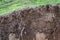 Layers of soil wet soil roots in soil soil profile soil zones gr