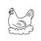 Laying hen in nest sketch vector. Farm chicken drawn in vintage eco, organic style