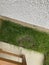 Laying new garden tuff to repair green grass lawn