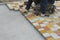 Laying Paving Slabs by mosaic close-up. Road Paving, construction.