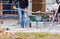 Laying the paving slabs, a worker with a construction shovel picks up a mixture of sand and cement to level the foundation