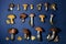 Laying taiga different mushrooms in three rows on a blue dark background