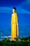 Laykyun Sekkya in Monywa Myanmar Bodhi Tataung Standing Buddha is the second tallest statue in the world. Monywa