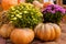 layout autumn flowers pumpkins on straw harvest holiday halloween