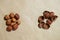 Layout of peeled kernels and hazelnut shells on a brown background