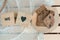 Layout of wooden blocks with lettering We Love and a wooden serving board with linen breads with raisins and spices, all on white