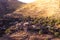 Lazanias, picturesque mountain village in the Nicosia District of Cyprus. Color tone tuned