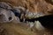 Lazar`s Cave, Lazareva Pecina, also known as Zlotska Cave, is the longest explored cave in Serbia with beautiful stalactites and