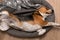 Lazy beagle puppy lying on his pillow indoors