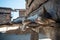 Lazy cat on cottage pile strucutre house in borneo indonesia