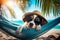 Lazy cool dog lounging in the hammock on a tropical beach, illustration generated by AI