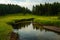 Lazy Creek Through Meadow Near Wrangler Lake