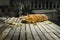 A lazy dog lies on a planks in Koh Samui, Thailand