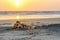 Lazy dog relaxing and sleeping on sand beach