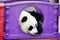 The lazy giant panda is hiding in the toy house