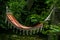 A lazy hammock in the forest